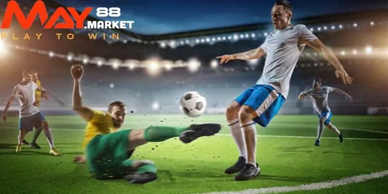 Tìm hiểu cá cược bóng đá May88